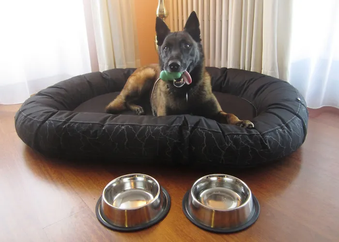 Отель Europe Давос